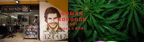 ПСИЛОЦИБИНОВЫЕ ГРИБЫ Алексин