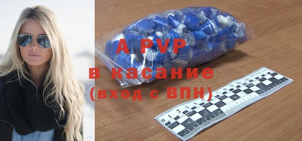 стаф Нефтегорск