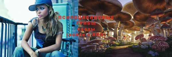 ПСИЛОЦИБИНОВЫЕ ГРИБЫ Алексин