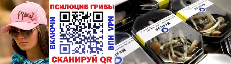 Галлюциногенные грибы мухоморы  Петровск-Забайкальский 