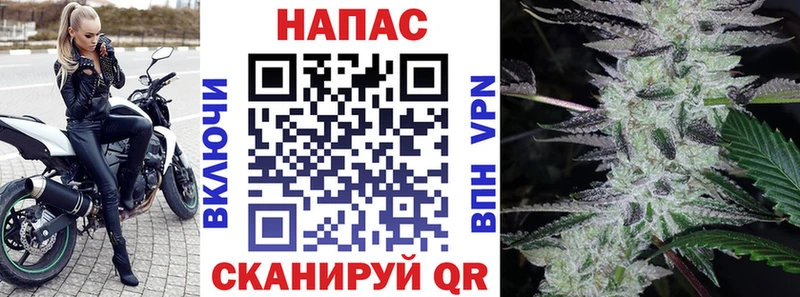 сколько стоит  Петровск-Забайкальский  Конопля Amnesia 